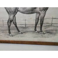 Dyptyk z końmi, litografia